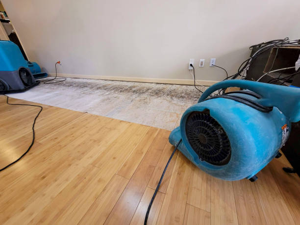 Professional Basement Flood Cleanup technician working in Mendota, CA